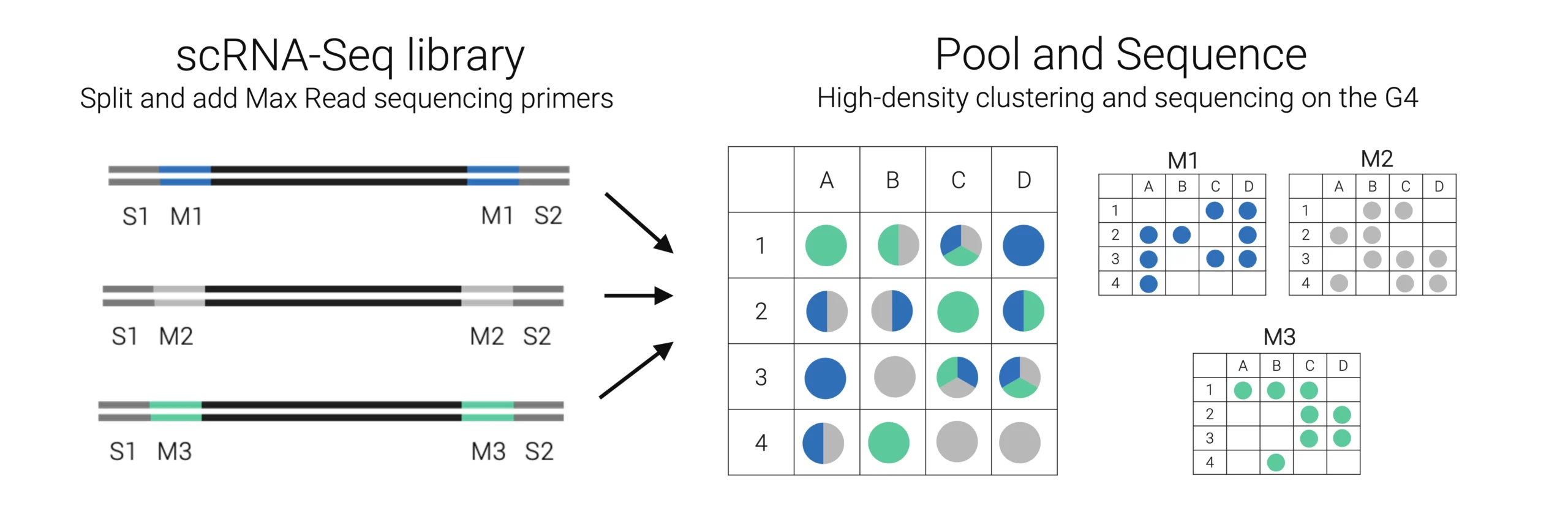 The Max Read Kit sequencing workflow
