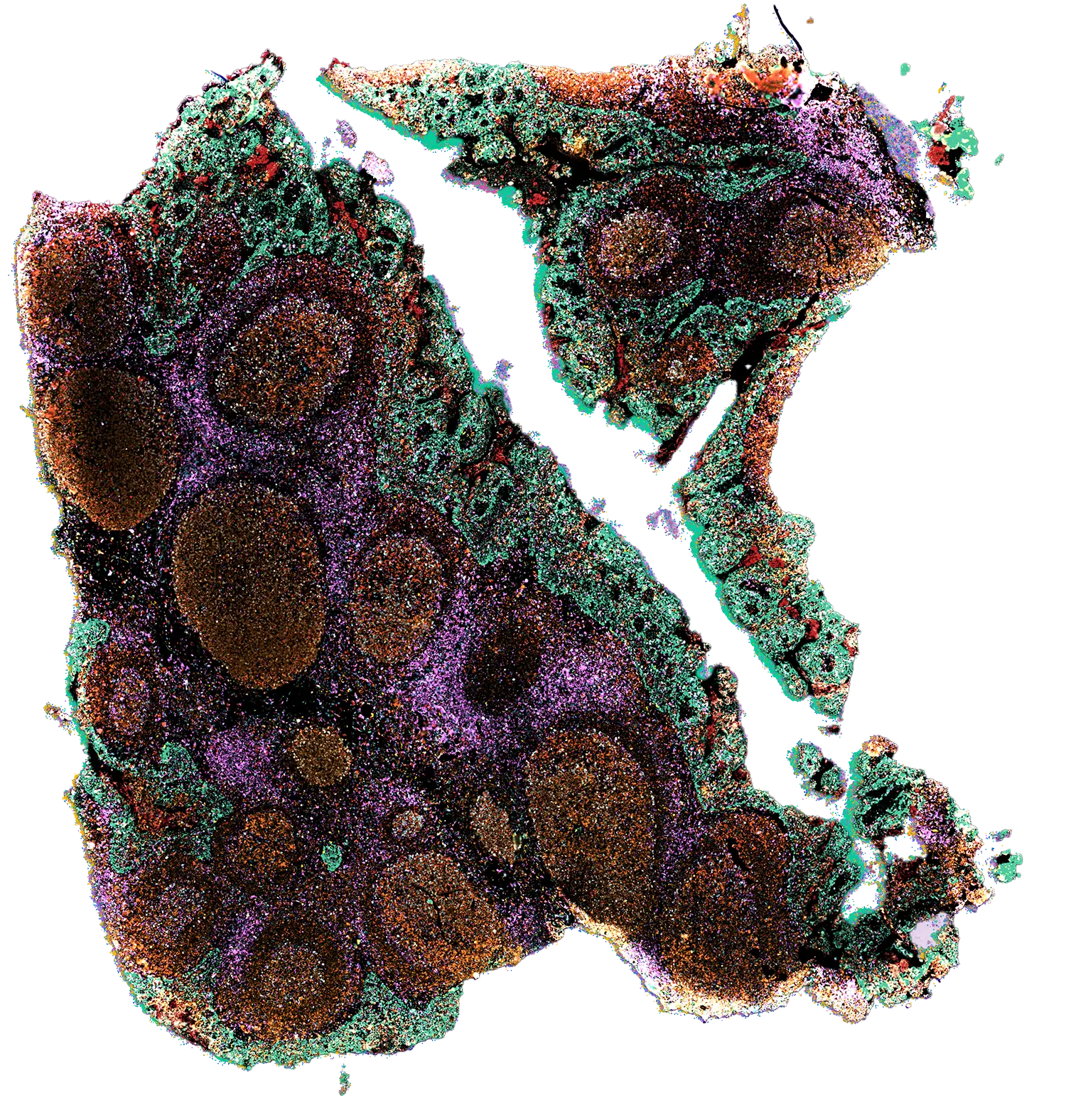 Proteomics Layer